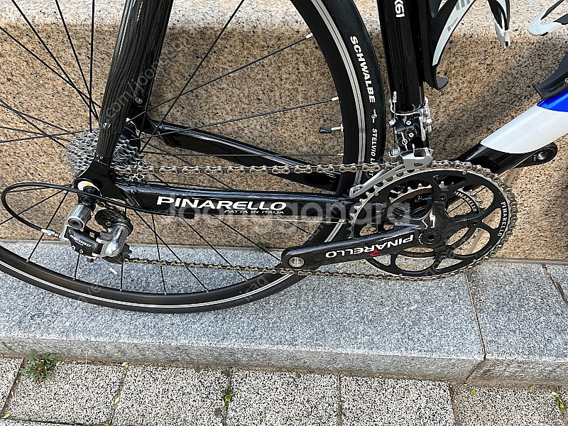 피나렐로 도그마 ak61 마그네슘--7