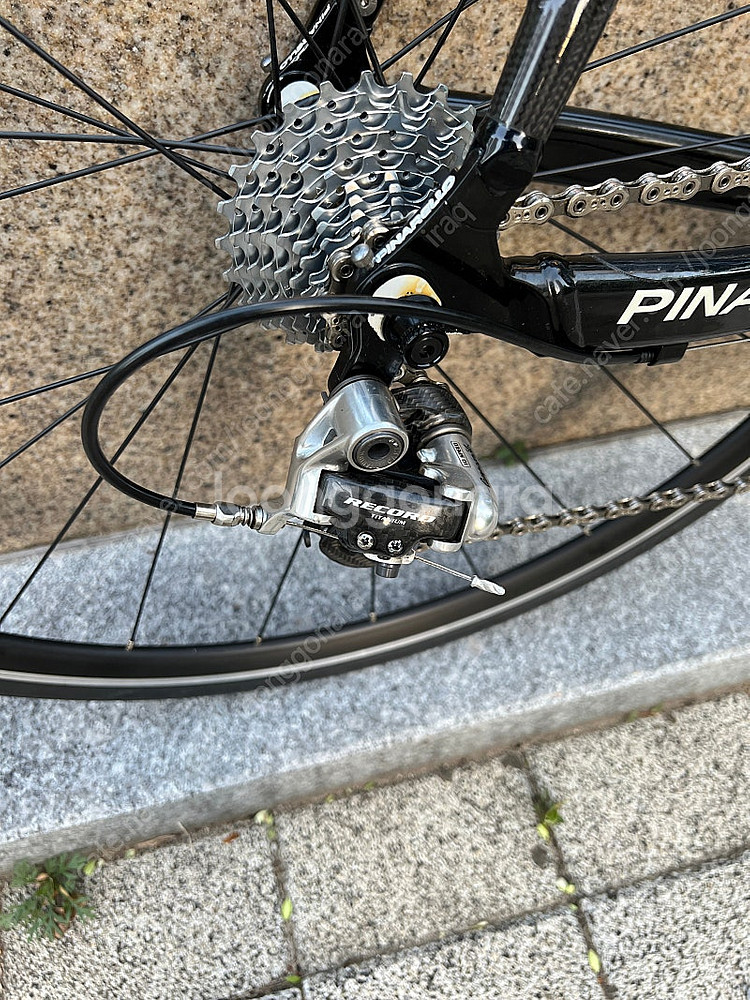 피나렐로 도그마 ak61 마그네슘--8