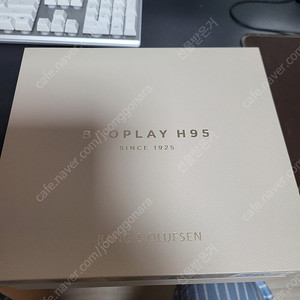 뱅앤올룹슨 B&O Beoplay H95 Gold