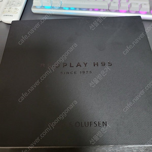 뱅앤올룹슨 B&O Beoplay H95 Black