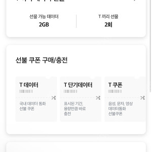 skt데이터 2GB