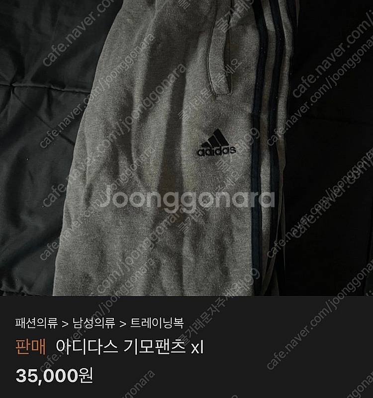 서울)아크네 아이앱 나이키 스투시 아더에러 폴로 베어 ...--8