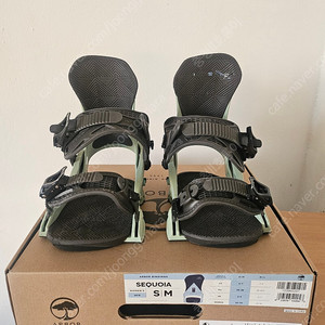아버 세콰이어 바인딩 팔아용~