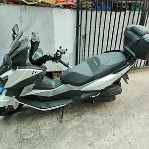 크루심알파300