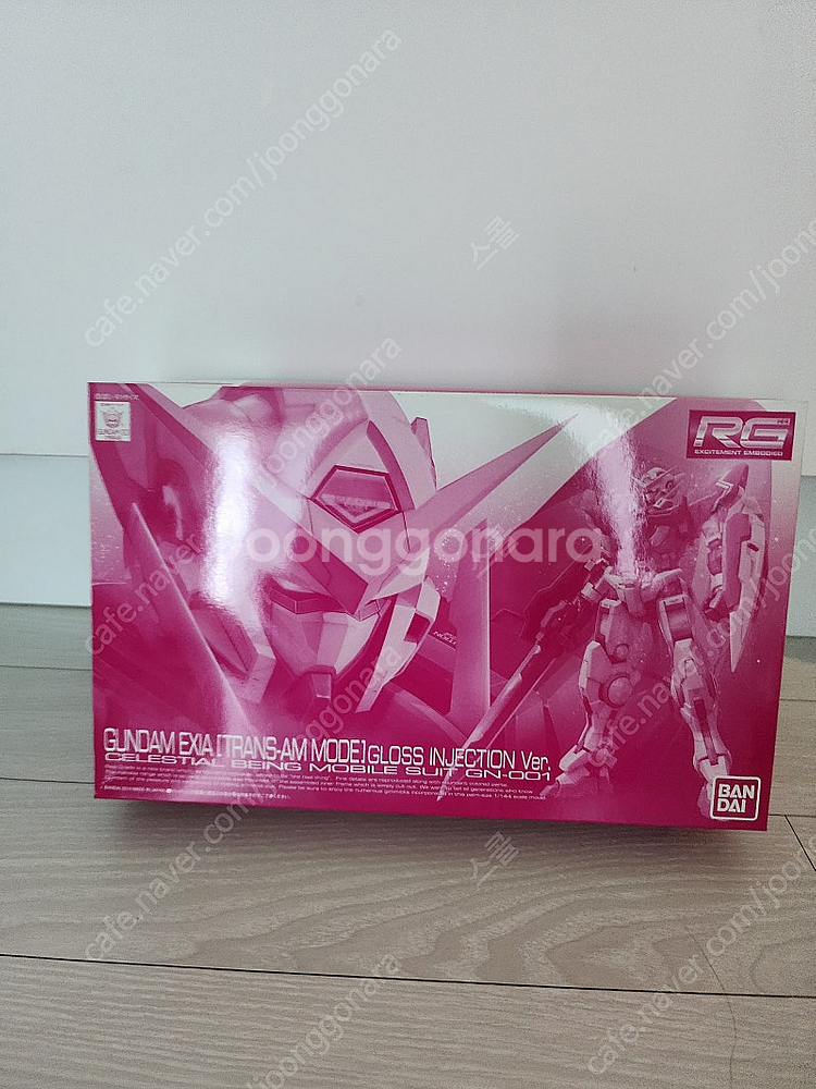 RG 엑시아 트랜잠--0