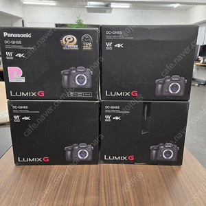 파나소닉 루믹스G GH5