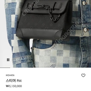 루이비통 스티머 pm