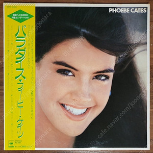 팝 lp, Phoebe Cates