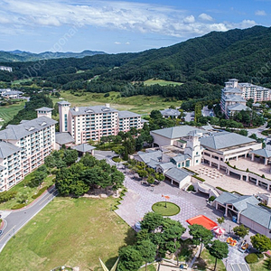 (겨울시즌) 엘리시안강촌 오크밸리 모나용평 평창한화 비체팰리스