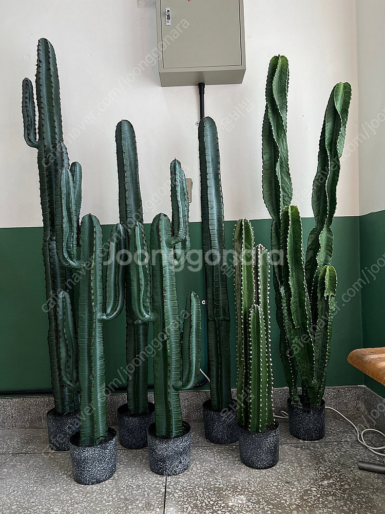 인테리어용 선인장 조화 판매합니다--0