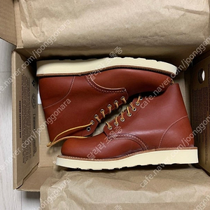 [가격내림] 레드윙 8166 사이즈 240