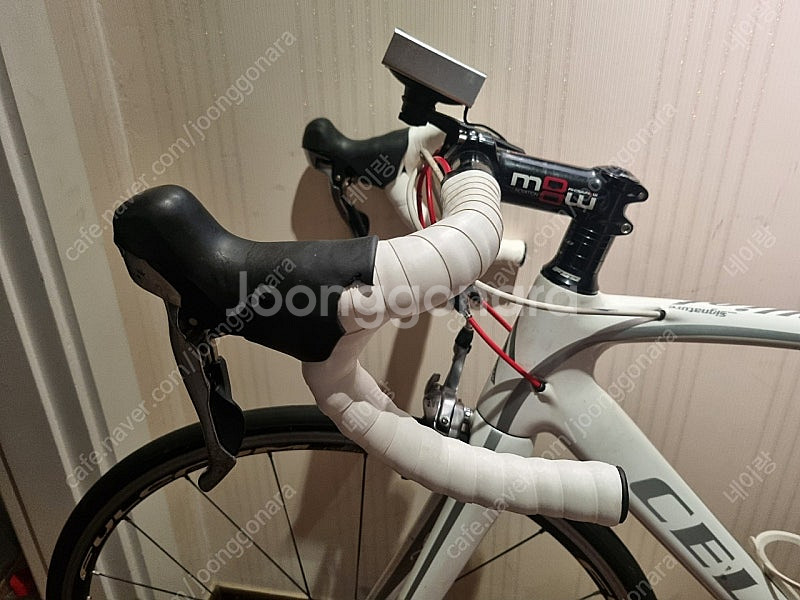 풀카본 첼로 엘리엇 시그니처 s7 105급--1