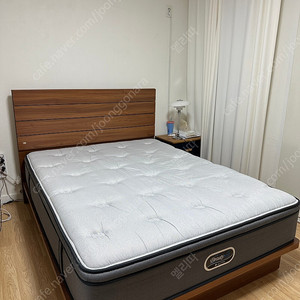 오늘 사는게 제일 싸다는 시몬스 뷰티레스트 쟈스민 Q