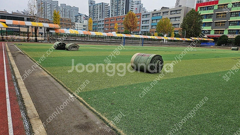 중고 인조잔디 인조잔듸 야영장 풋볼장 펜션 중고 운동장...--2