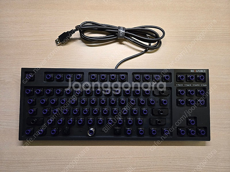 리얼포스 R3TLS 저소음 45g (레오폴드, 토프레 ...--1