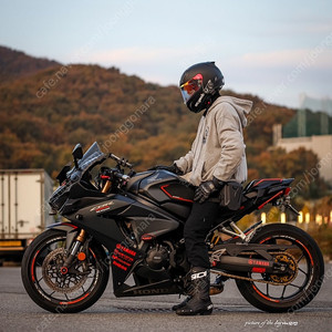 20년식 cbr 650r 풀배기 급처
