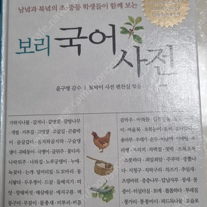 보리국어사전