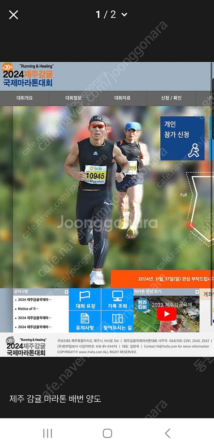 [구합니다]제주감귤마라톤 배번--0