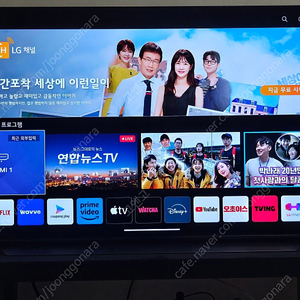 (서울)LG 올레드 48인치 TV 판매합니다. LG OLED48C1KNB 스탠드