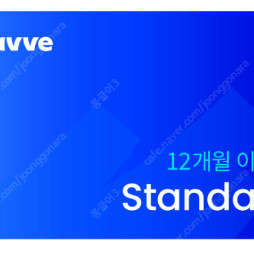 웨이브(Wavve) 스탠다드 12개월권