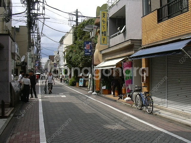 니콘 쿨픽스2000--6