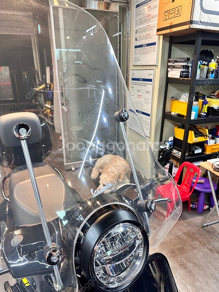 (부산) 22년식 베스파 gts300 슈퍼테크 2500...--5