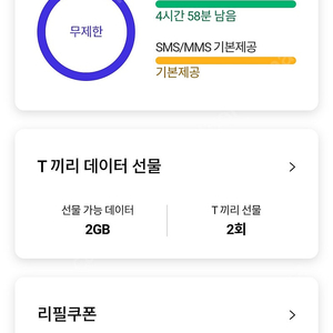 SK데이터 2기가