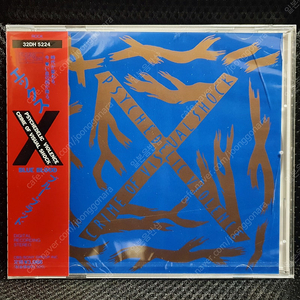 엑스 재팬 X JAPAN BLUE BLOOD CD 신품