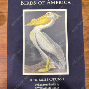 웅장한 책, the birds of america 양장본 판매합니다.