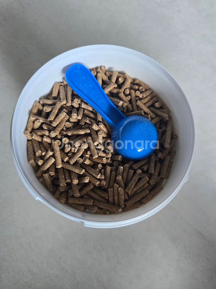 조공오메가3 파이보 벳플러스프로맥스 지아이캄 닥터힐메딕스d/l 캔 메디비아 로우팻--8