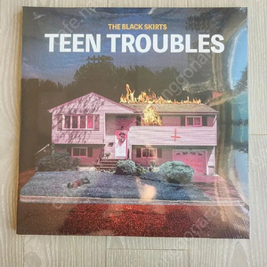 (LP 미개봉 한정반) 검정치마 - TEEN TROUBLES