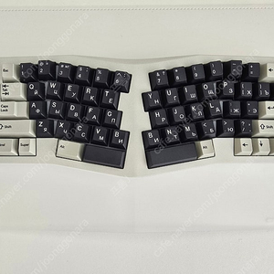 neo ergo retro white 네오어고 레트로