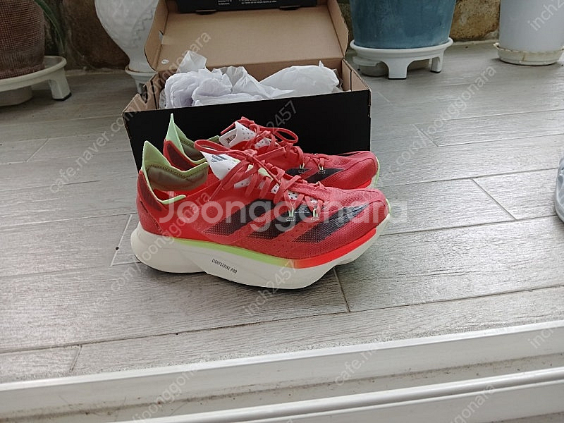 아디오스프로6 245--0