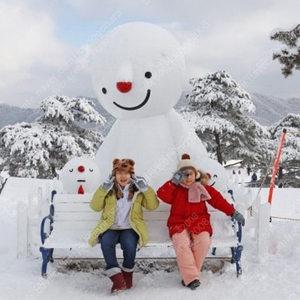 홍천 비발디파크 올인클루시브11월12월~2인/3인/4인 초특가