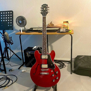 epiphone 에피폰 ES-335 판매