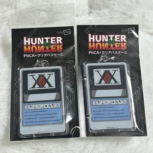 헌터 라이센스 헌헌 클리어 PIICA 패스 hunter