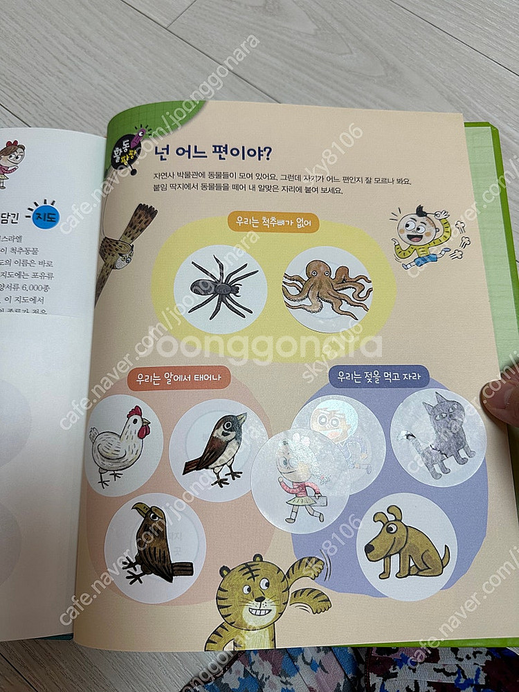 과학도깨비 상태 깨끗해요--1