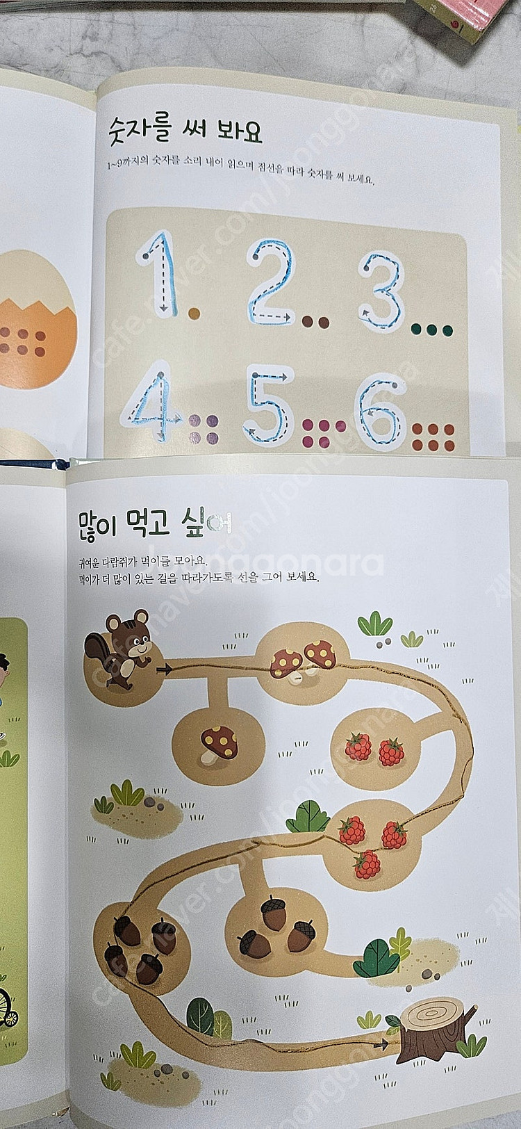 내친구 수학공룡--1