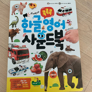 한글영어사운드북 택포