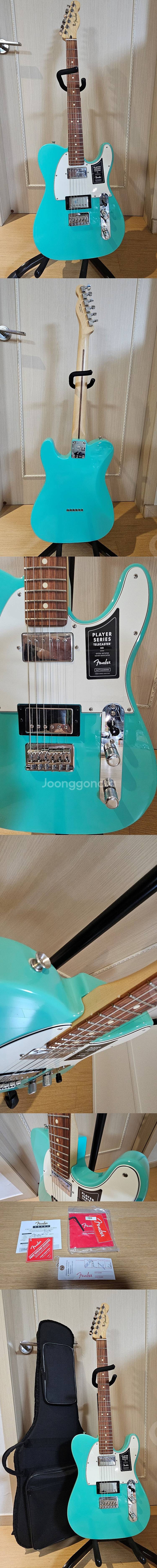 펜더 플레이어 텔레캐스터 Fender Mexico Pl...--0