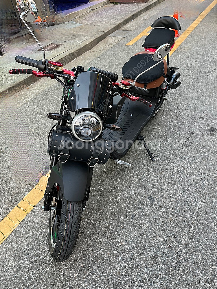 전기스쿠터 할리st--0