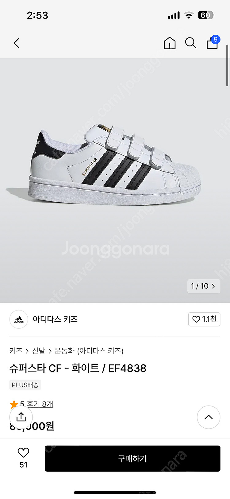 아디다스 슈퍼스타 170--0