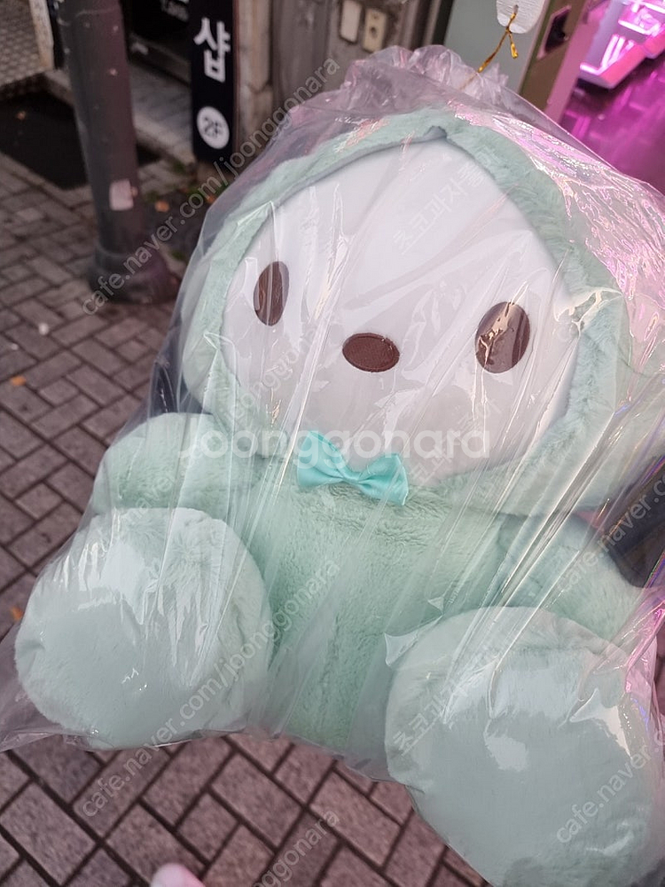포차코 코스튬 대형 산리오 인형 팝니다--1