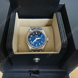 IWC 파일럿36