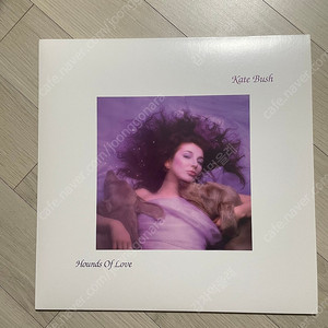 택포))케이트 부시 kate bush- Hounds of Love lp 엘피