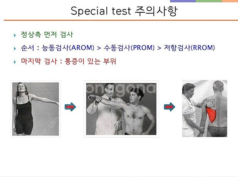 건강운동관리사 필기/실기/구술/스폐셜 테스트 합격족보 ...--1