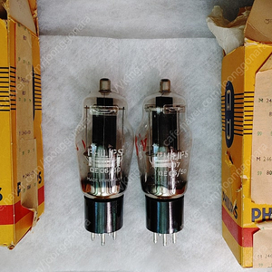 Philips필립스 807(QE06/50) NOS NIB 메치페어 판매