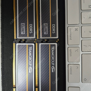 TEAMGROUP DDR5-4800 CL40 Elite Plus 블랙 서린(32GB) 4장 팝니다