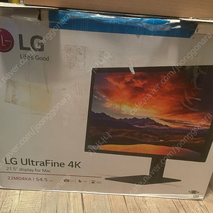 lg 울트라파인 4k 21.5인치