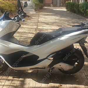 PCX 125 흰색 팝니다 (2020년식)